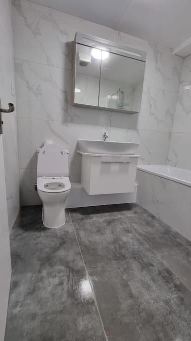 לונדון Brand New Flat Close To Turnpike Lane Tube Station מראה חיצוני תמונה